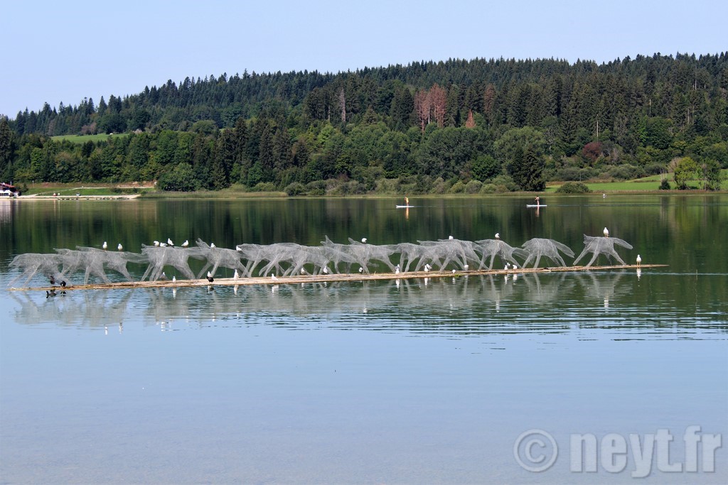 Lac de Saint-Point