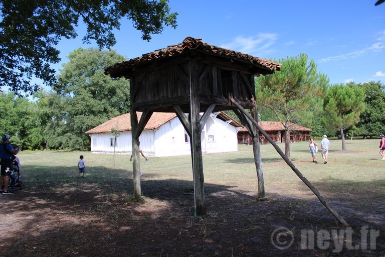 Visite à l'Ecomusée de Marquèze